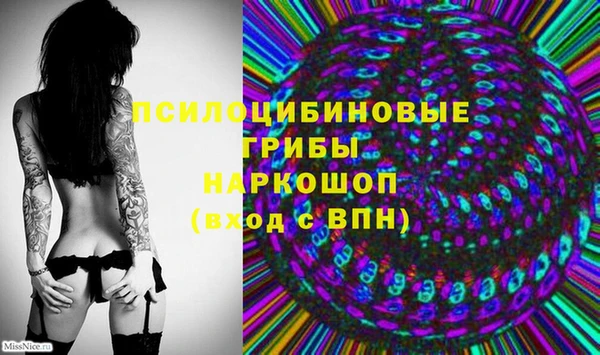стаф Новозыбков