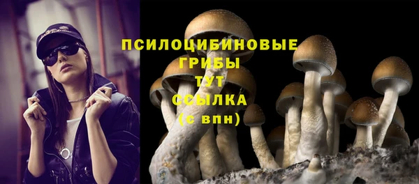 прущие грибы Абдулино