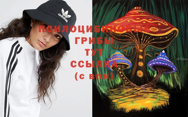 прущие грибы Абдулино