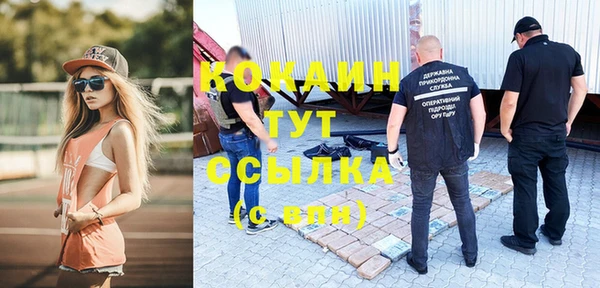 прущие грибы Абдулино