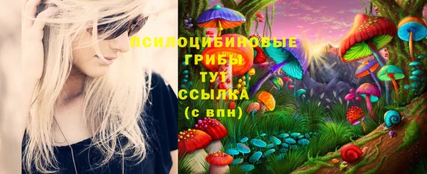 молекула духа Абинск