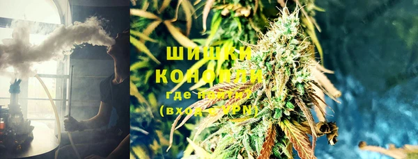 прущие грибы Абдулино
