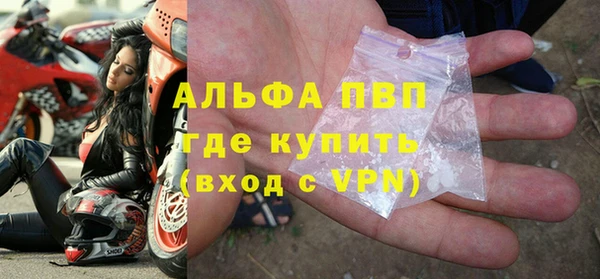 прущие грибы Абдулино