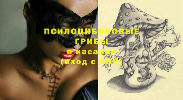 прущие грибы Абдулино