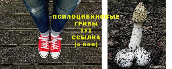 молекула духа Абинск