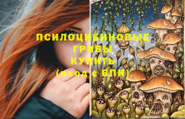 молекула духа Абинск