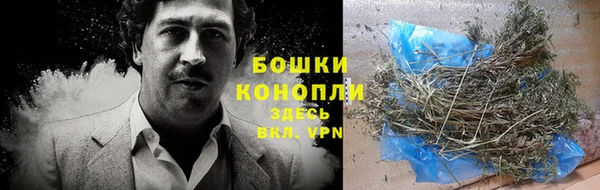 прущие грибы Абдулино
