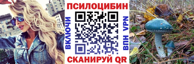 Галлюциногенные грибы Psilocybine cubensis Ангарск